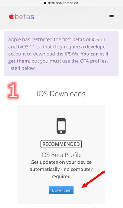 install ios 11 on iPhone