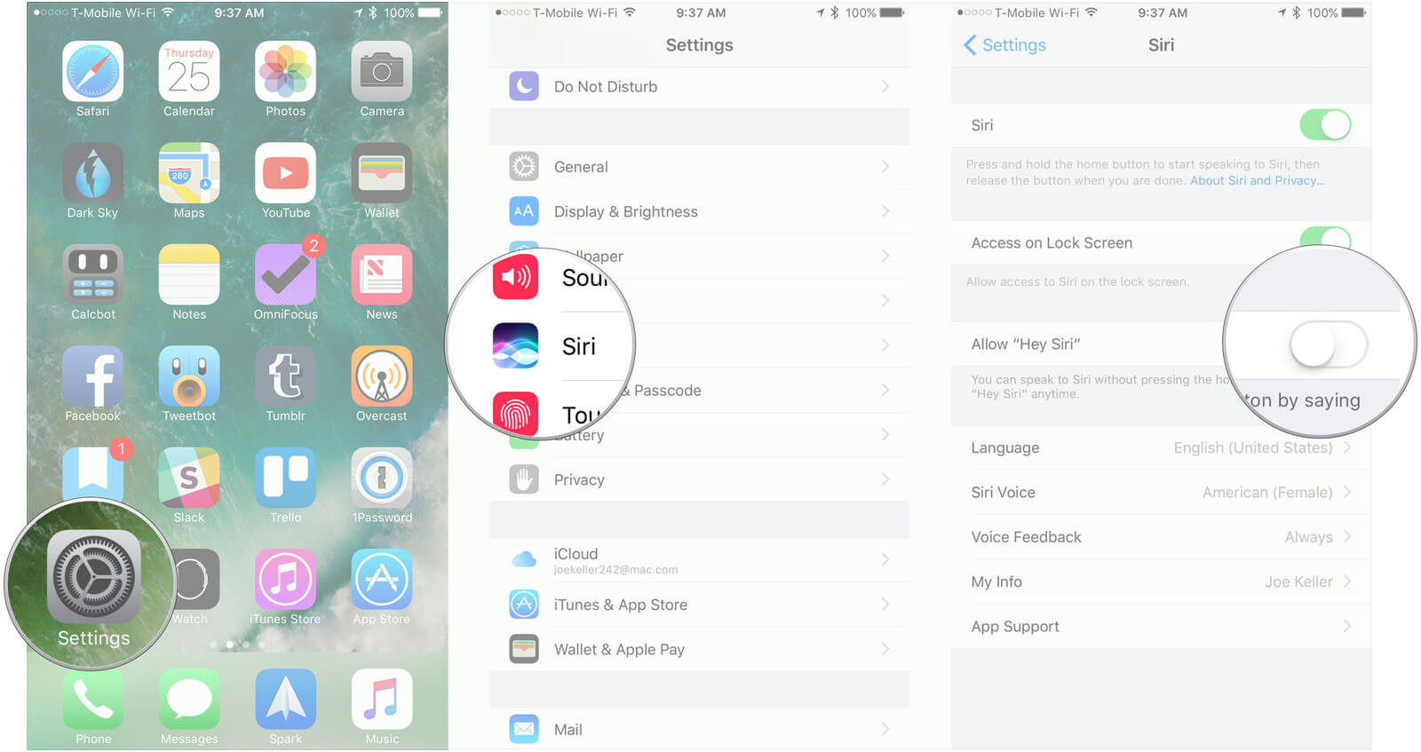 enable siri