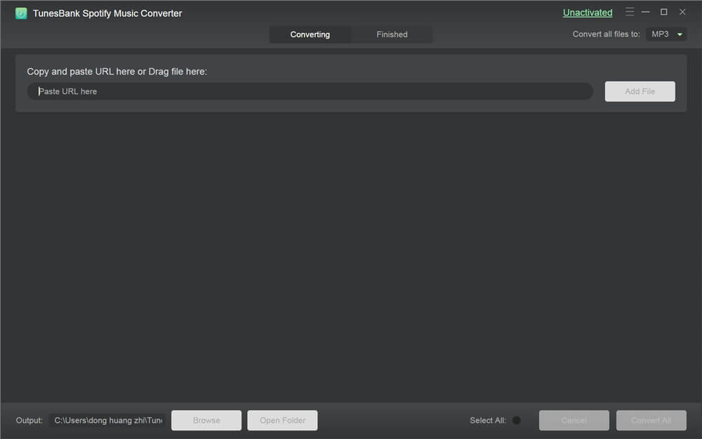 launch tunesbank spotify music converter